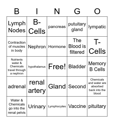 Apologia General Science Module 15 Bingo Card