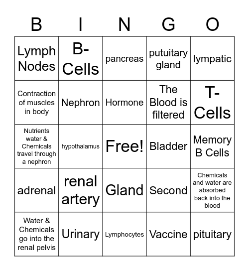 Apologia General Science Module 15 Bingo Card