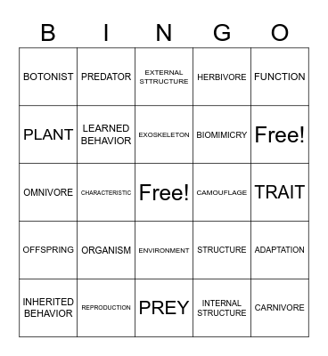 ANIMAL ADAPTATIONS Bingo Card
