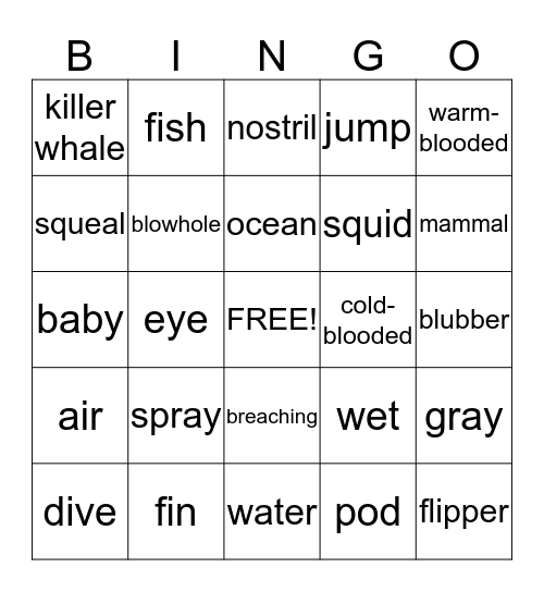 Dolphin Bingo Card