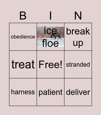 unit 11 Bingo Card