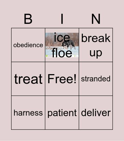 unit 11 Bingo Card