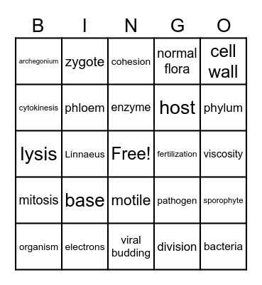 biology final exam Bingo Card