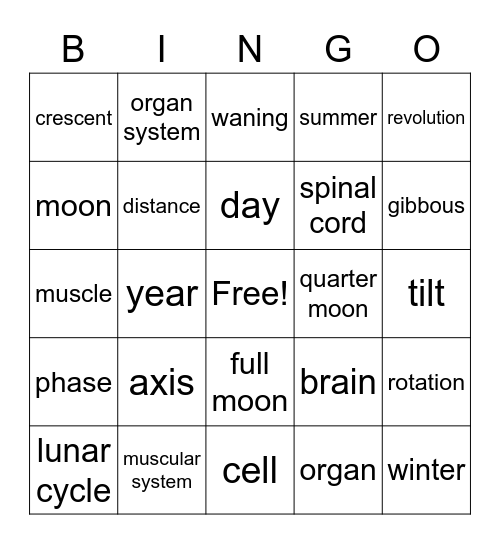 Science Final Review Bingo Card