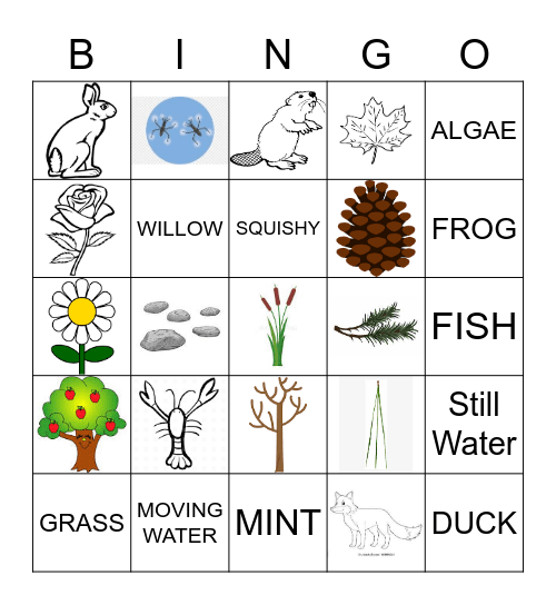 Ecosystems Bingo Card