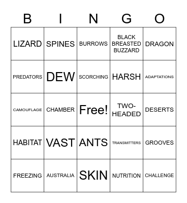 The Thorny Dragon Bingo Card