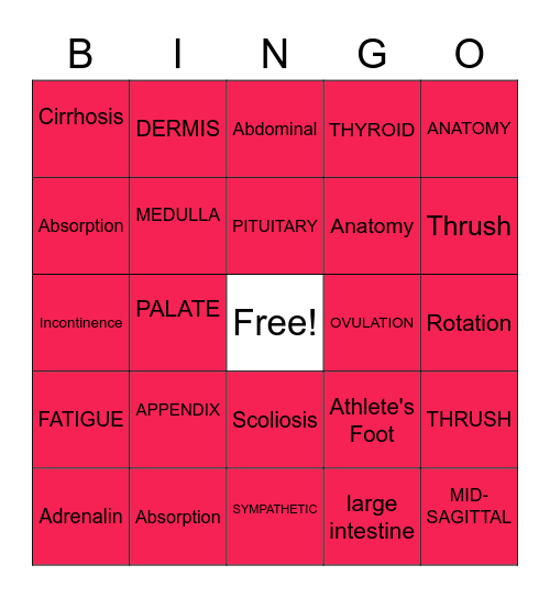 HS1 Hannah Brittain Bingo Card