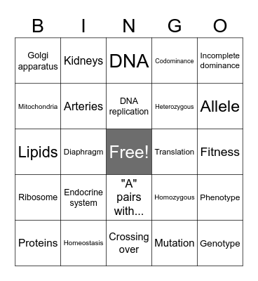 Semester 2 Biology Review! Bingo Card