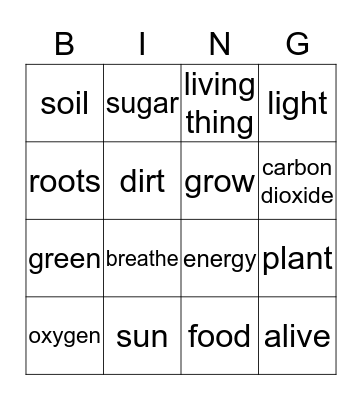plants Bingo Card