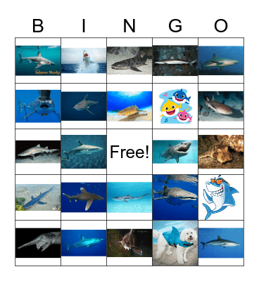 Shark Bingo Card