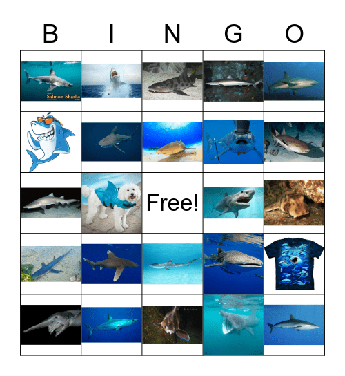 Shark Bingo Card