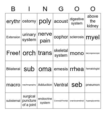 Final Review Bingo Card