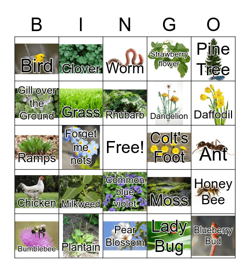 Laraway Lawn Bingo Card