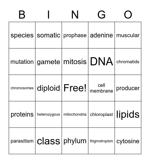 biology Bingo Card