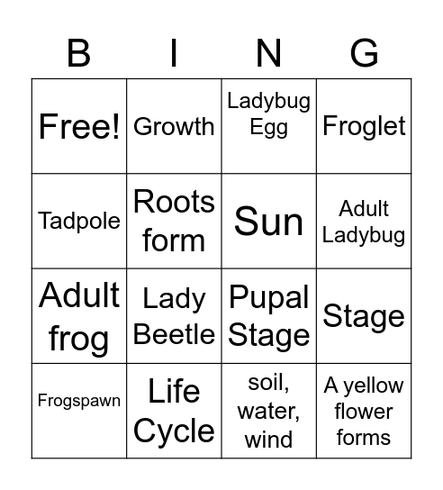 Life Cycles Bingo Card