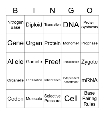 Final Vocabulary Bingo Card