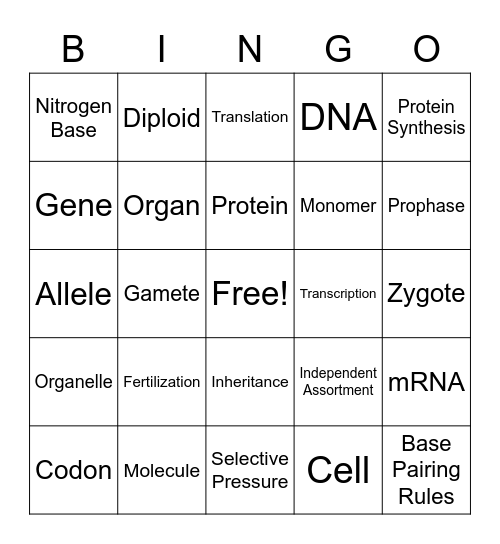 Final Vocabulary Bingo Card