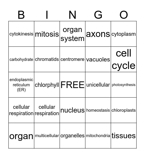 PSSA Review Bingo Card