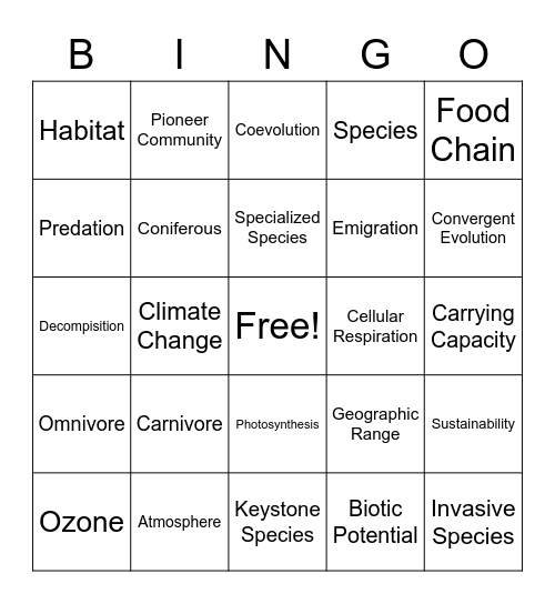 Final Bingo V. 3 Bingo Card