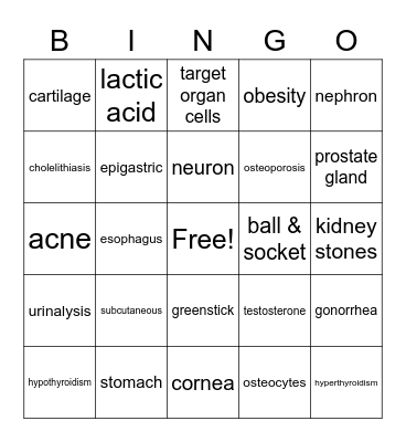 HSI Review Game 1 Bingo Card