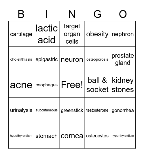 HSI Review Game 1 Bingo Card