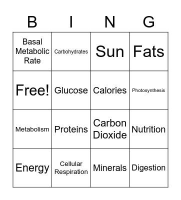 Molecular Bio & Energy Bingo Card