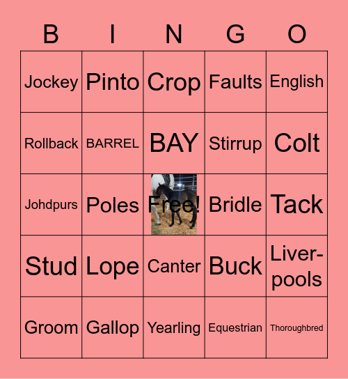 WINTER FILLY SHOWER Bingo Card