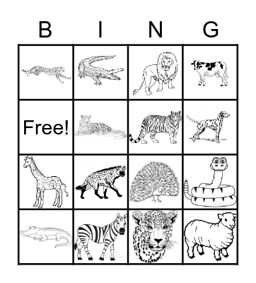 Lola's Party Animal Bingo Card