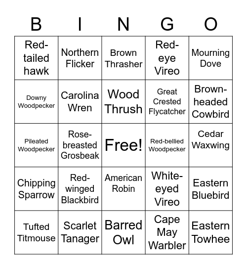 Backyard Bird Bingo Card