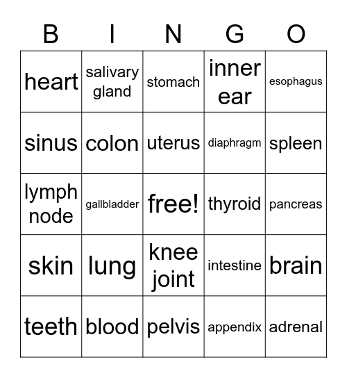 Anatomy Bingo Card