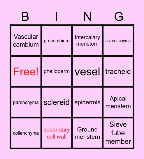 Plant tissue Bingo Card