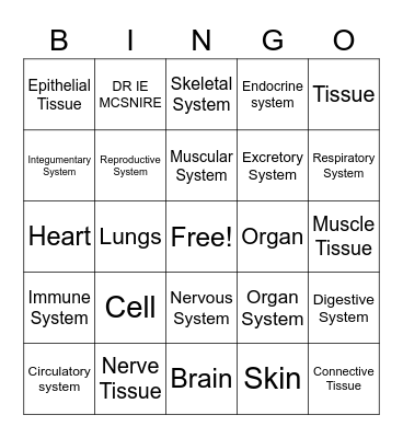 Body Systems Bingo Card