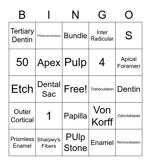 Oral Anatomy BINGO Card