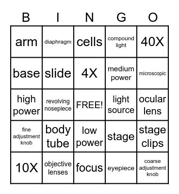 PARTS OF THE MICROSCOPE Bingo Card