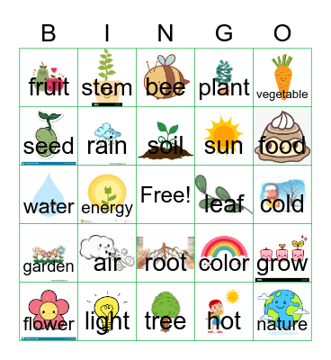 Plant Bingo Card