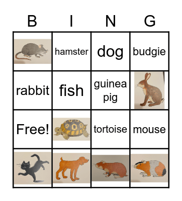 Pets - Bingo Card