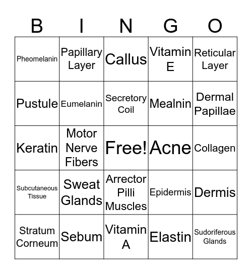Skin Structure and Growth Bingo Card