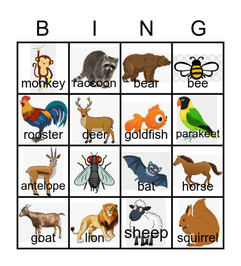 Animal Bingo Card