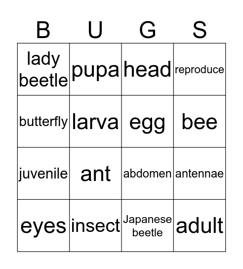 Insects Bingo Card