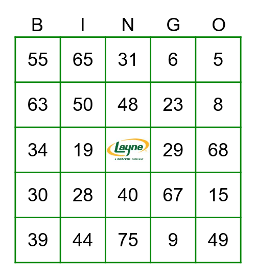 Layne Safety Bingo Card