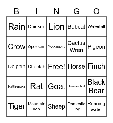 Nature Sounds Bingo Card