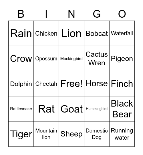 Nature Sounds Bingo Card