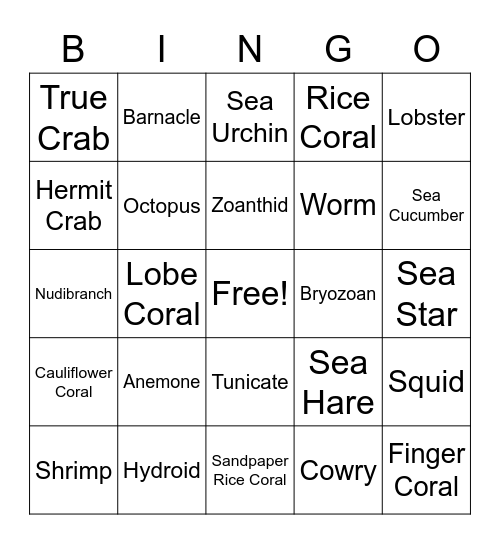 Inverts and Corals Woo!! Bingo Card