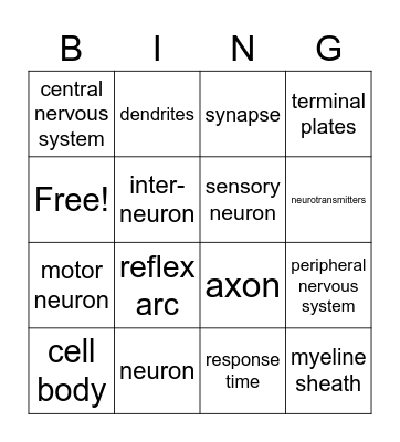 Nervous System Bingo Card