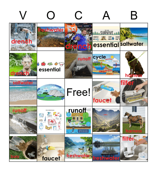 3rd grade Module 4 Bingo Card