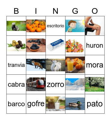 Spanish Bingo Card
