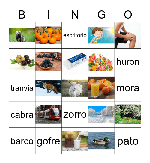 Spanish Bingo Card