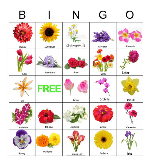 FLOWERS Bingo Card