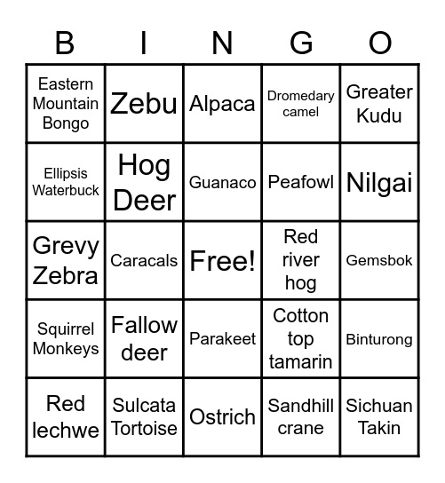 Tennessee Safari Park Animals Bingo Card