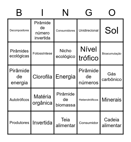 Cadeias alimentares e Teias alimentares Bingo Card